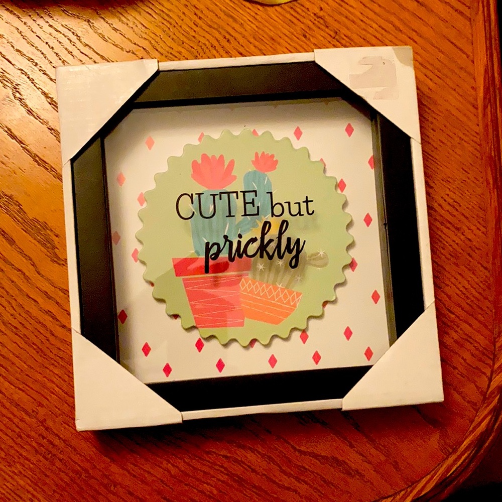 Cactus 🌵 Shadow Box Wall Art